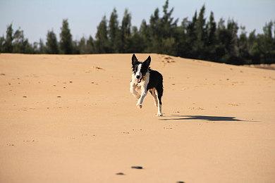 治愈系经营模拟游戏《地窖食堂》即将在Steam平台发售 9月15日正式推出